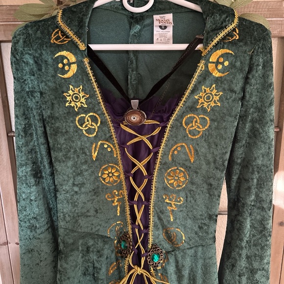 Hocus Pocus Winifred Sanderson Costume + Wig - Picture 2 of 7